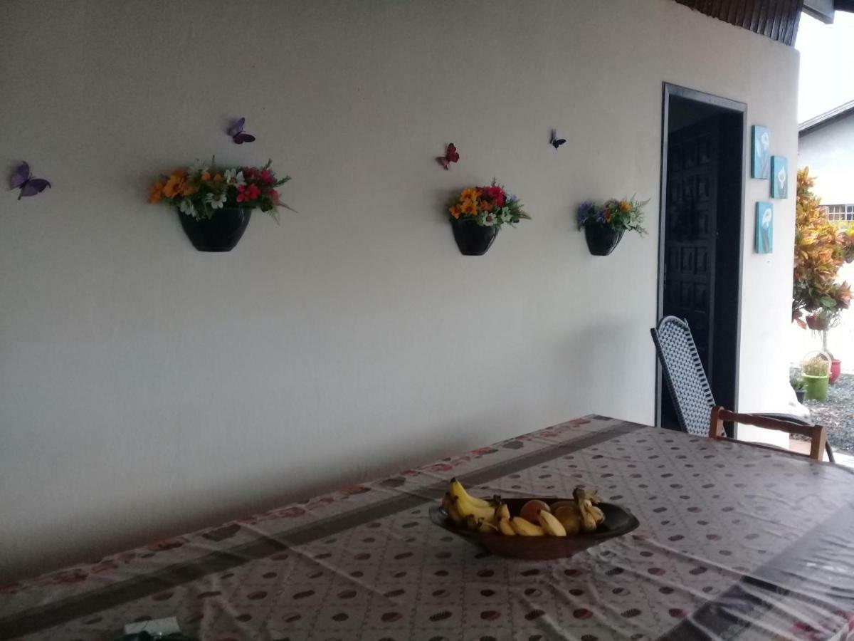 Hostel Cidade Das Flores 2 Joinville Eksteriør billede
